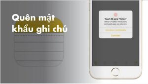 Cách mở mật khẩu Ghi Chú trên iPhone khi quên dễ dàng