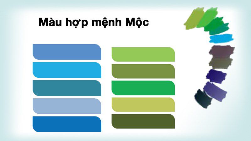 Các màu sắc hợp với mệnh Mộc